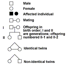 How does a pedigree help us to trace a trait that is inherited?