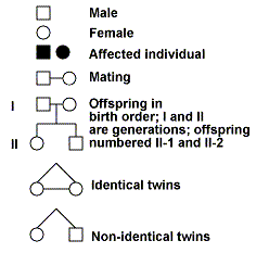 Tongue Rolling Pedigree Chart